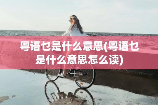 粤语乜是什么意思(粤语乜是什么意思怎么读)
