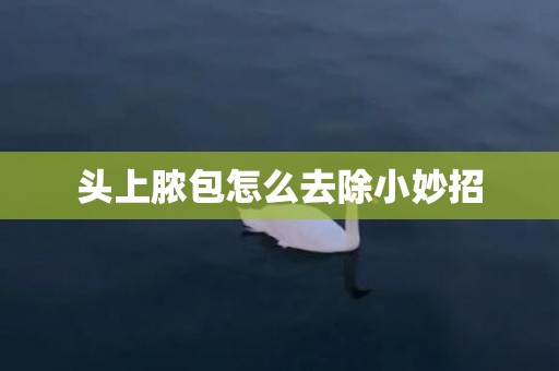 头上脓包怎么去除小妙招