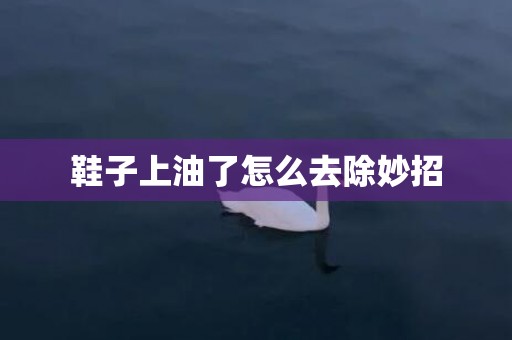 鞋子上油了怎么去除妙招