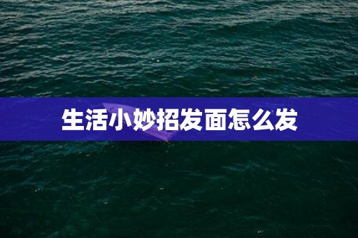 生活小妙招发面怎么发