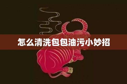 怎么清洗包包油污小妙招