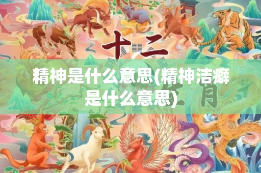 精神是什么意思(精神洁癖是什么意思)
