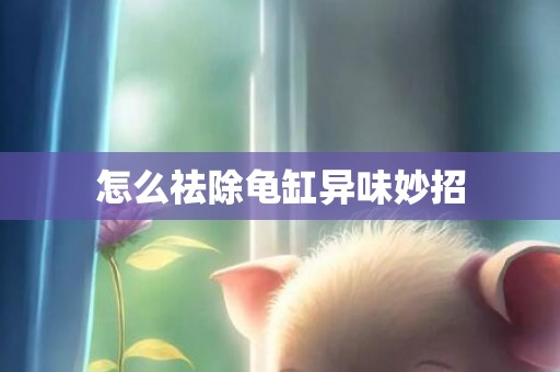 怎么祛除龟缸异味妙招