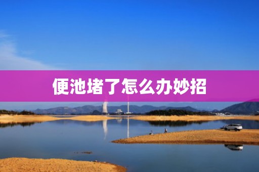 便池堵了怎么办妙招