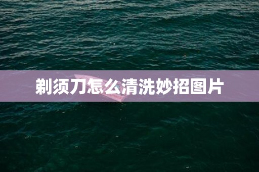 剃须刀怎么清洗妙招图片