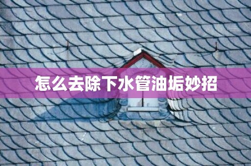 怎么去除下水管油垢妙招