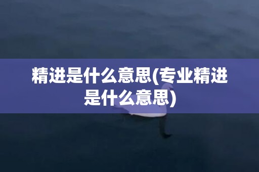 精进是什么意思(专业精进是什么意思)