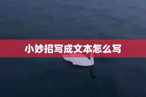 小妙招写成文本怎么写