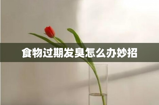食物过期发臭怎么办妙招