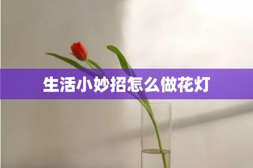 生活小妙招怎么做花灯