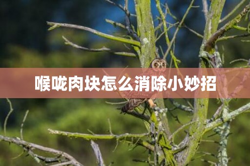喉咙肉块怎么消除小妙招
