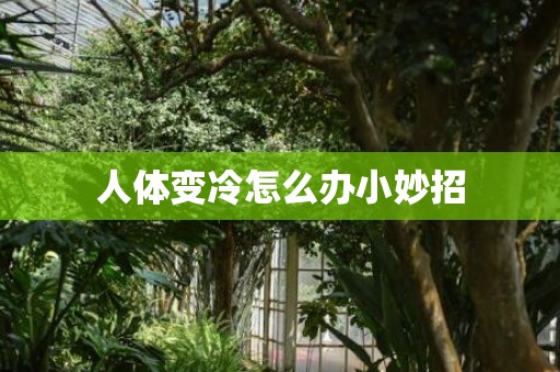 人体变冷怎么办小妙招