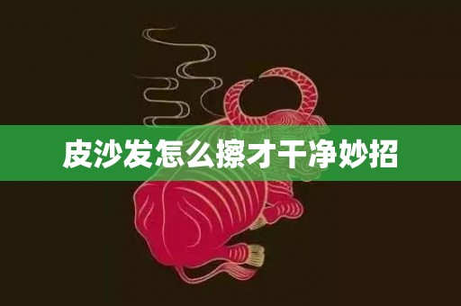 皮沙发怎么擦才干净妙招