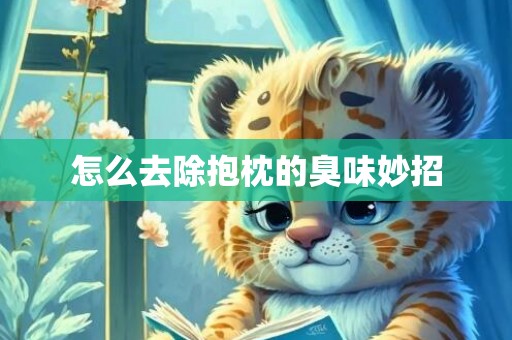 怎么去除抱枕的臭味妙招