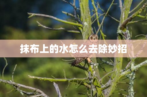 抹布上的水怎么去除妙招