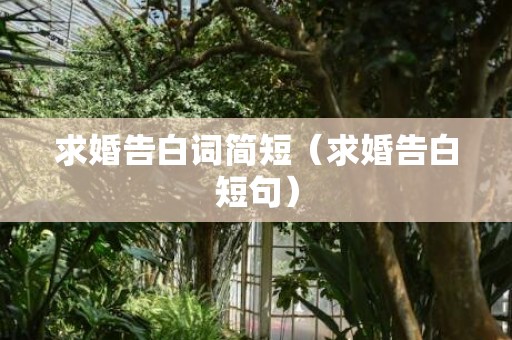 求婚告白词简短（求婚告白短句）