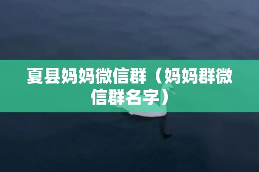 夏县妈妈微信群（妈妈群微信群名字）