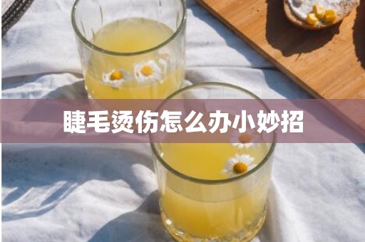 睫毛烫伤怎么办小妙招