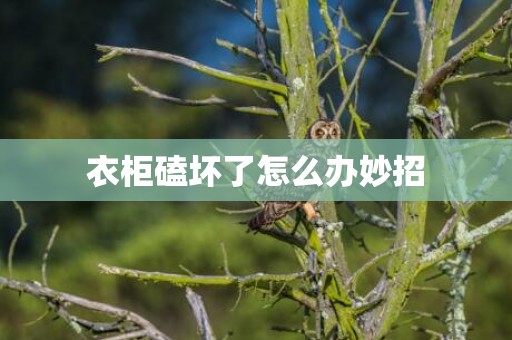 衣柜磕坏了怎么办妙招