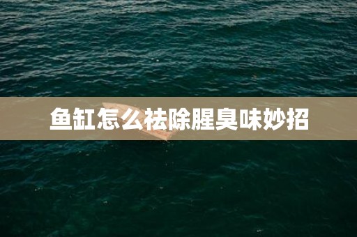 鱼缸怎么祛除腥臭味妙招