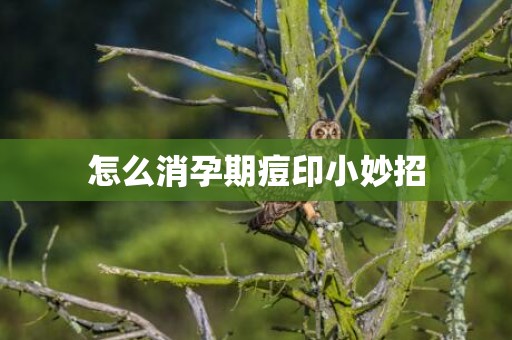 怎么消孕期痘印小妙招
