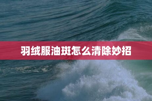 羽绒服油斑怎么清除妙招
