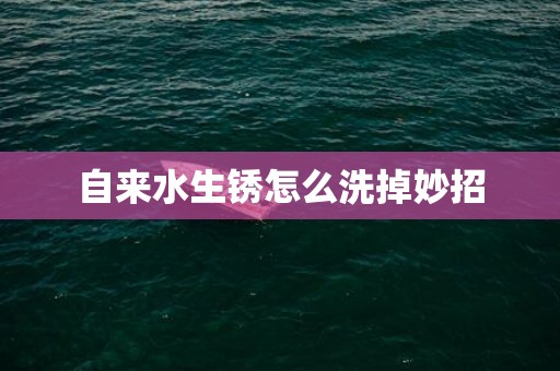 自来水生锈怎么洗掉妙招