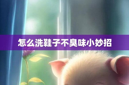怎么洗鞋子不臭味小妙招