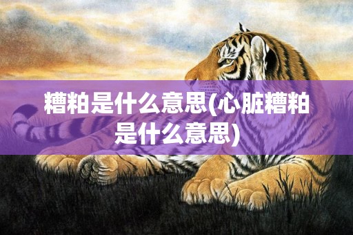 糟粕是什么意思(心脏糟粕是什么意思)