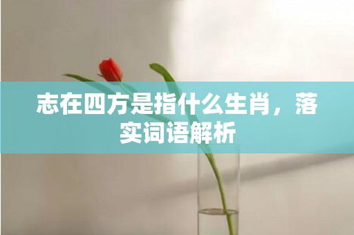 志在四方是指什么生肖，落实词语解析