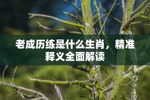 老成历练是什么生肖，精准释义全面解读