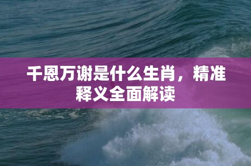 千恩万谢是什么生肖，精准释义全面解读