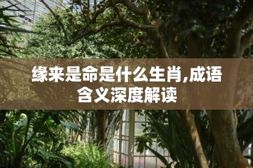 缘来是命是什么生肖,成语含义深度解读