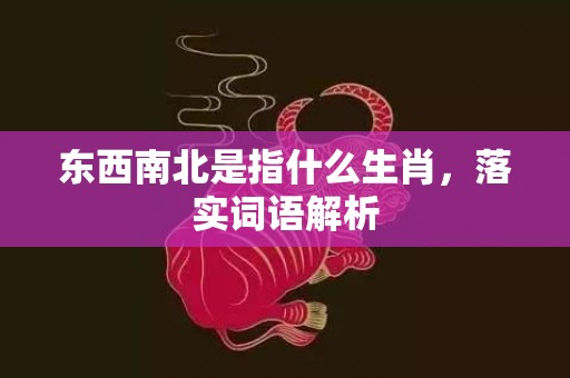 东西南北是指什么生肖，落实词语解析