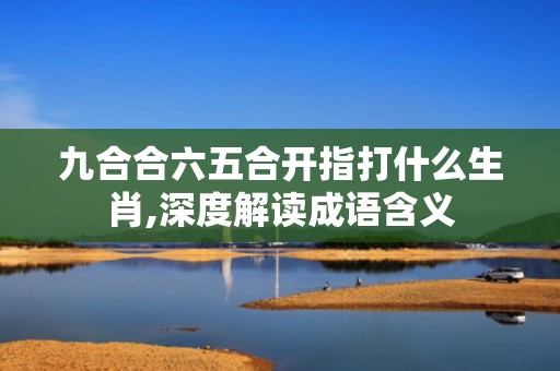 九合合六五合开指打什么生肖,深度解读成语含义