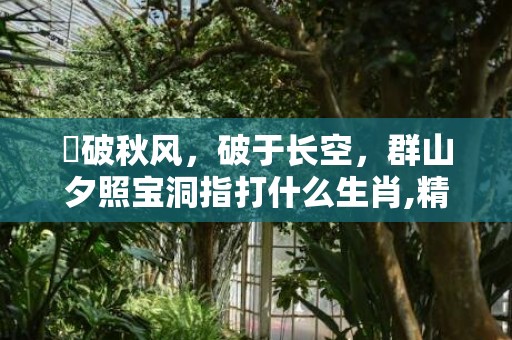 捲破秋风，破于长空，群山夕照宝洞指打什么生肖,精准答案揭晓