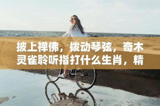 披上禅佛，拨动琴弦，奇木灵雀聆听指打什么生肖，精确解读落实