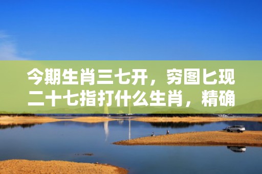 今期生肖三七开，穷图匕现二十七指打什么生肖，精确解读落实