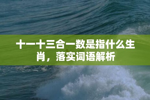 十一十三合一数是指什么生肖，落实词语解析