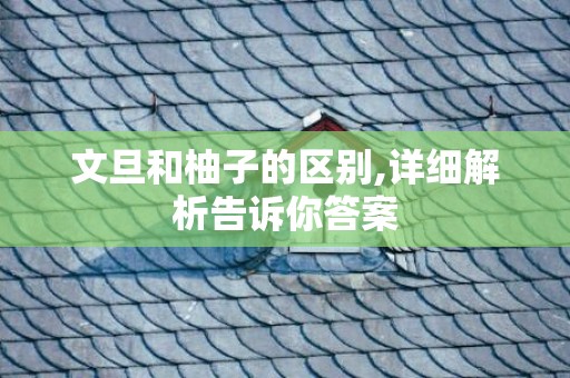 文旦和柚子的区别,详细解析告诉你答案
