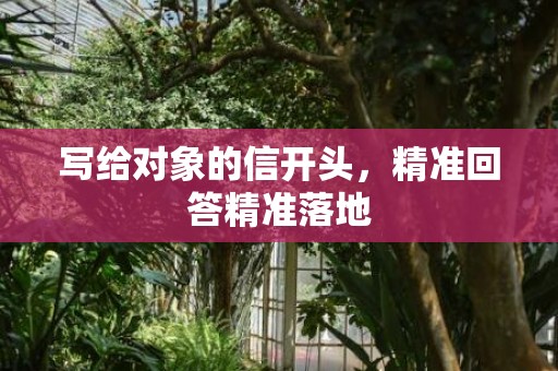 写给对象的信开头，精准回答精准落地