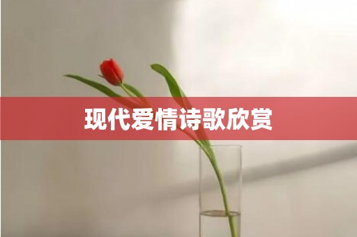 现代爱情诗歌欣赏