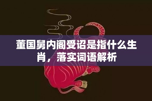 董国舅内阁受诏是指什么生肖，落实词语解析