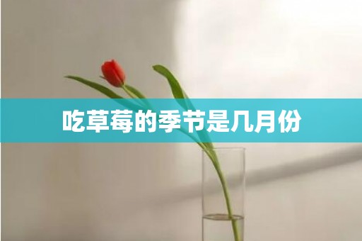 吃草莓的季节是几月份