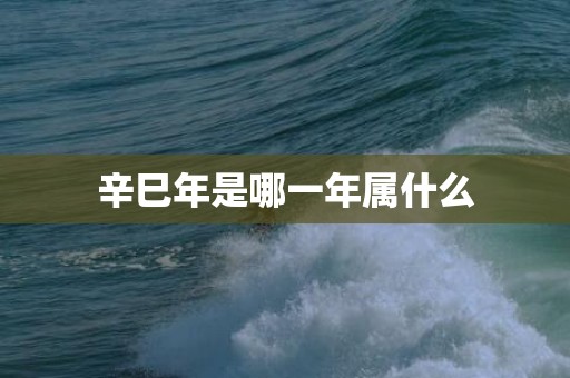 辛巳年是哪一年属什么