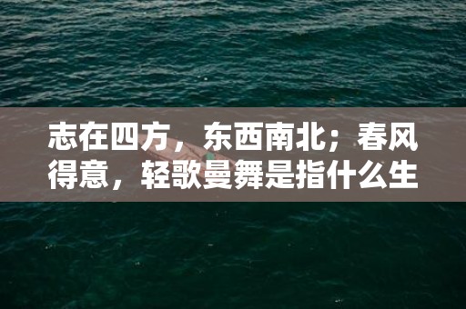 志在四方，东西南北；春风得意，轻歌曼舞是指什么生肖，落实词语解析