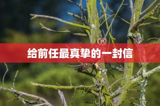 给前任最真挚的一封信