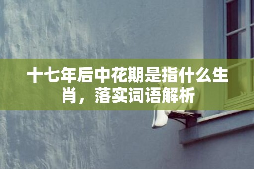 十七年后中花期是指什么生肖，落实词语解析