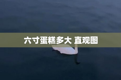 六寸蛋糕多大 直观图