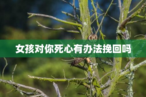 女孩对你死心有办法挽回吗